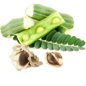 Moringa (Mlonge / Mzunze)